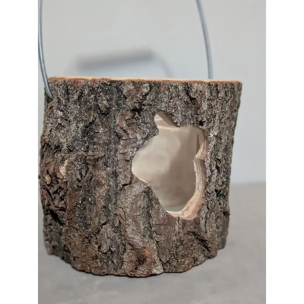 Rustic Tree Bark Log Candle Holder Lantern with Acorn Cutout & Glass Insert